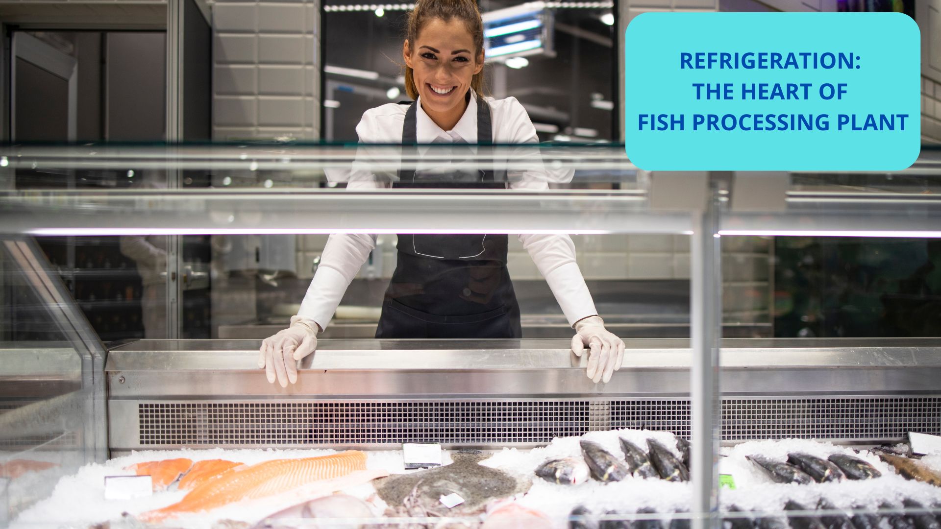 REFRIGERATION: THE HEART OF FISH PROCESSING PLANT